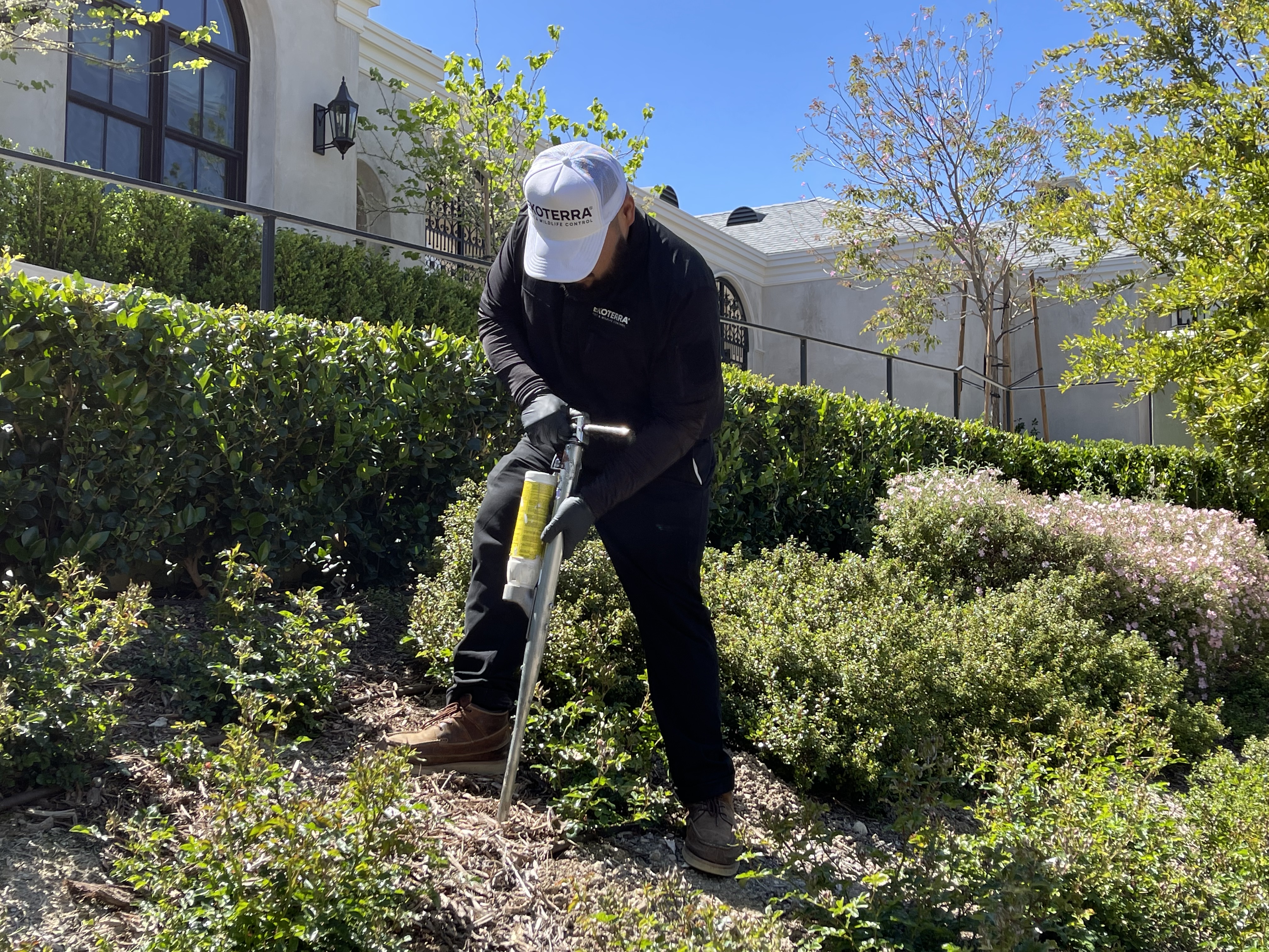Ekoterra Gopher Pest & Wildlife Control | Professional Eco-Friendly ...